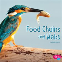 Food_Chains_and_Webs